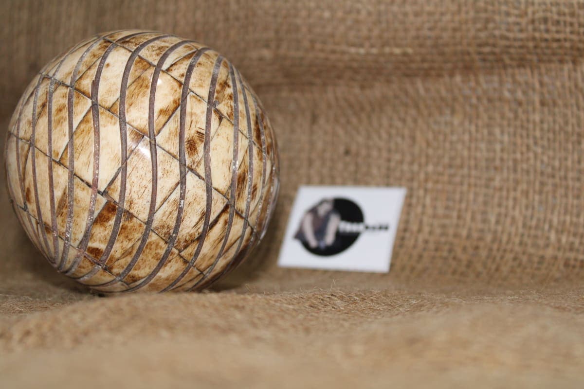 Bone Ball