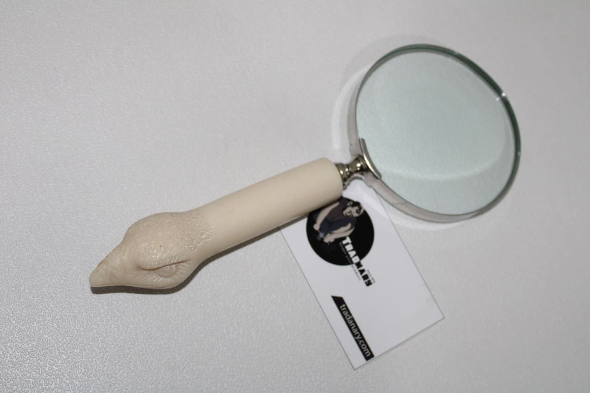 Hawk Shape Magnifying Glass