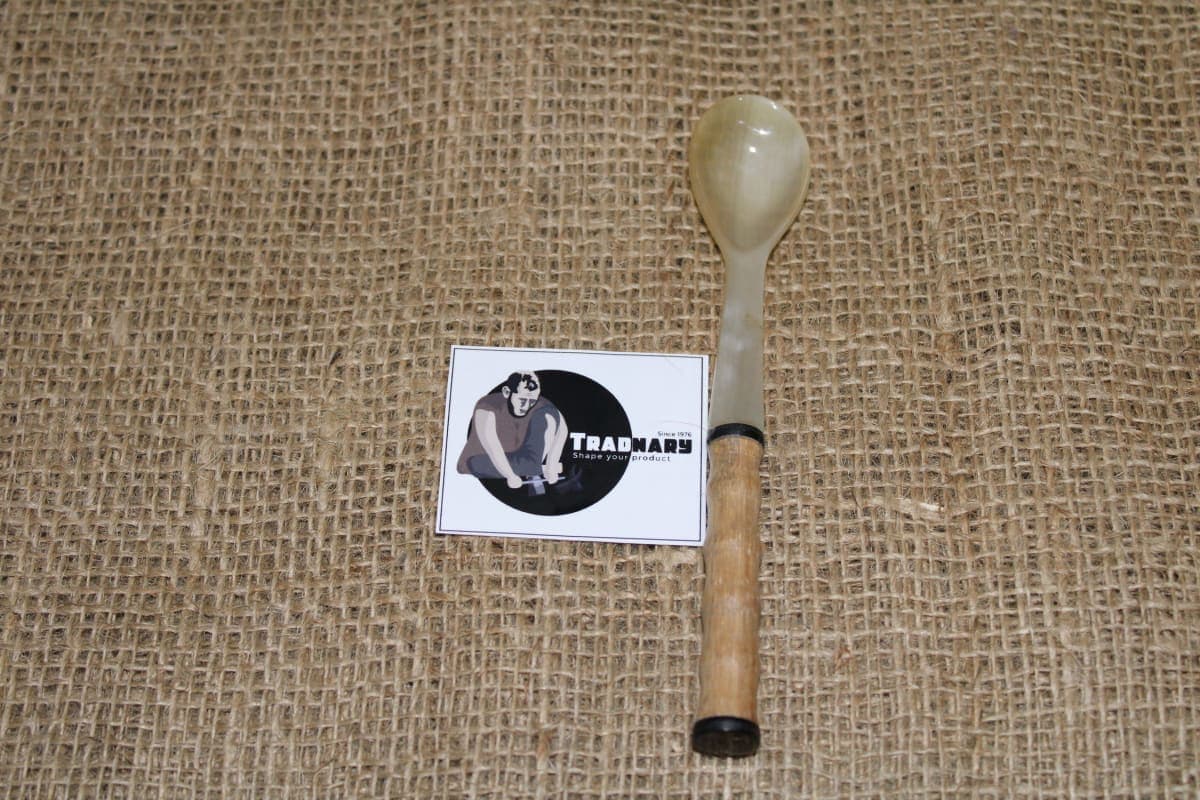 Wood And Horn Spoon 