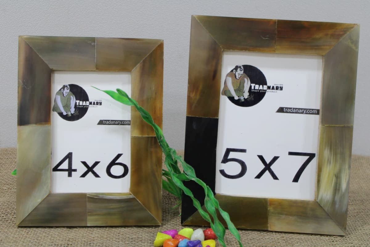 Horn Picture Frame