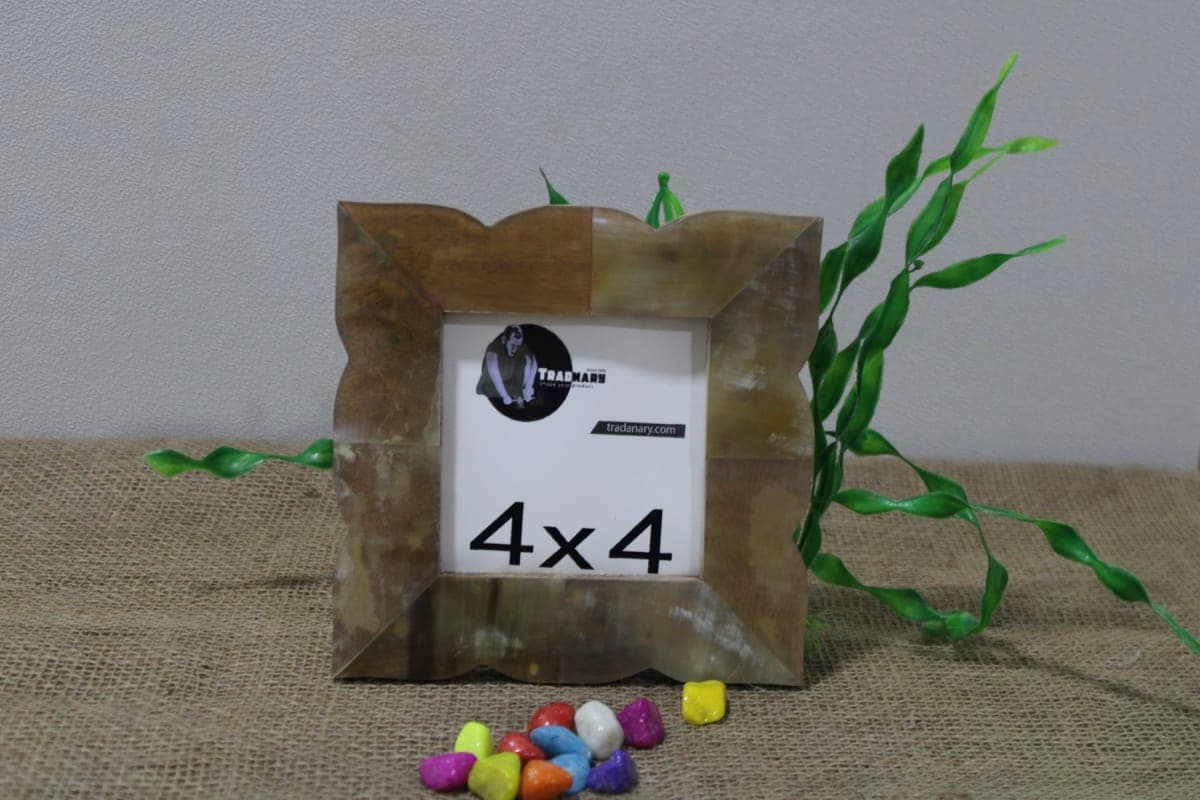 Brown Horn Photo frame 