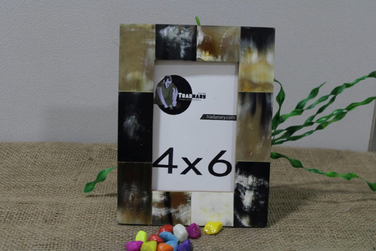 Horn Photo Frame