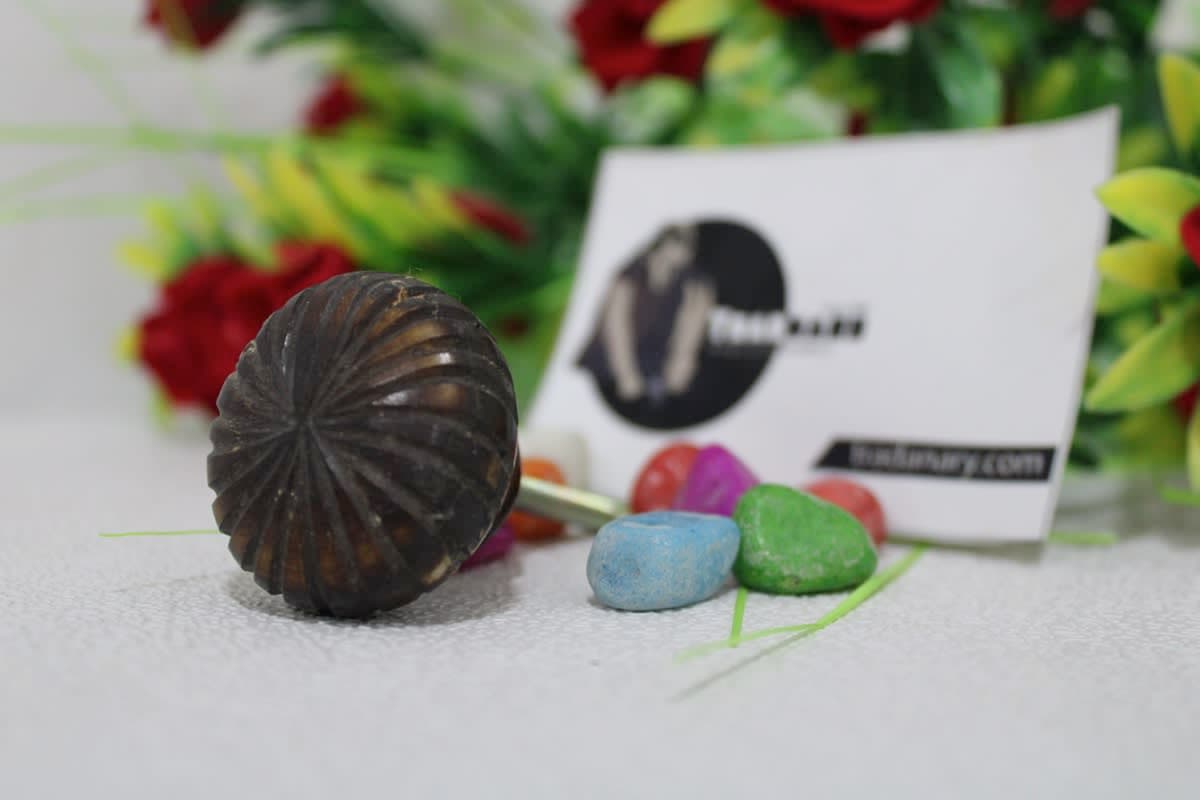 Brown Resin Knob