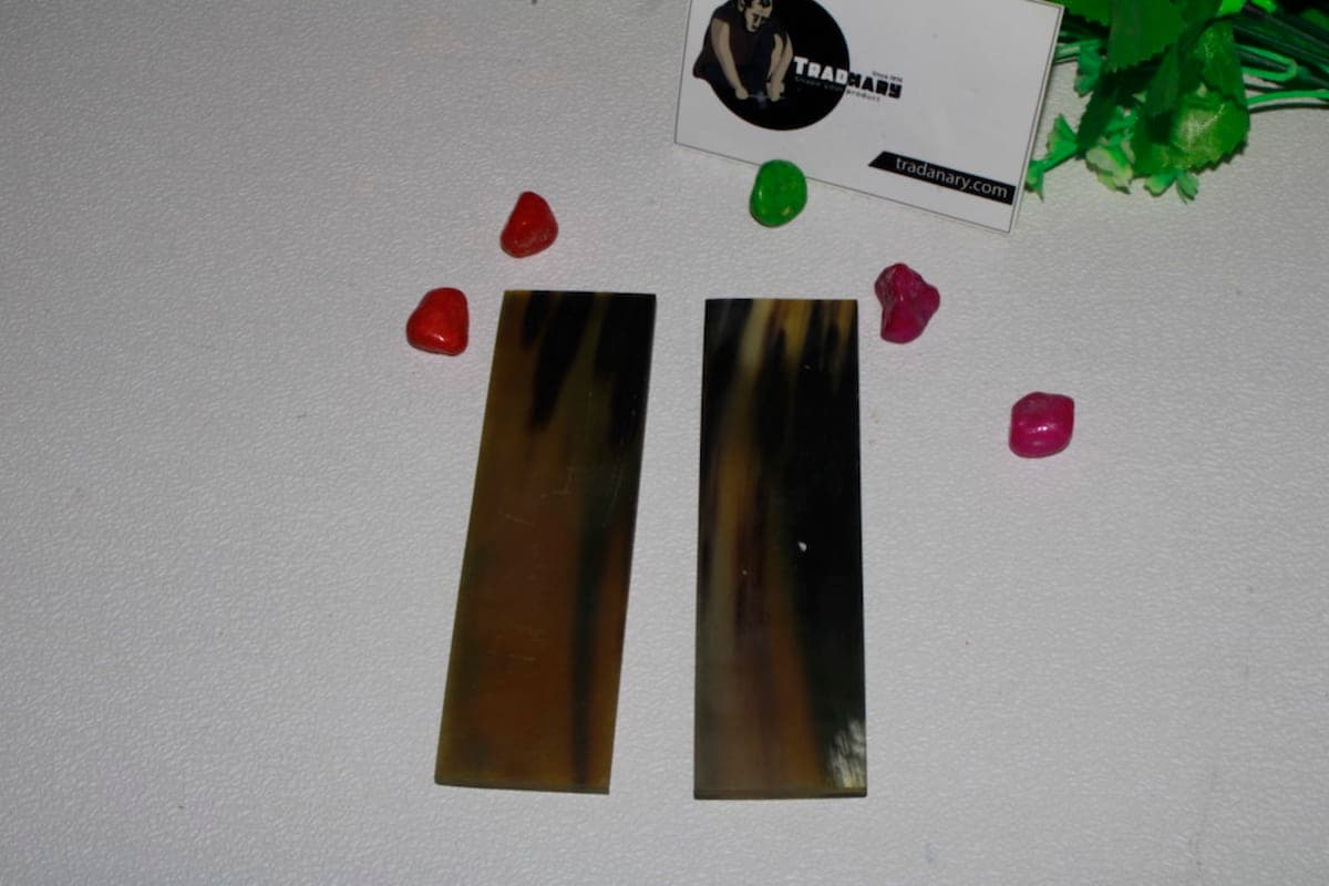 Gava Horn scale