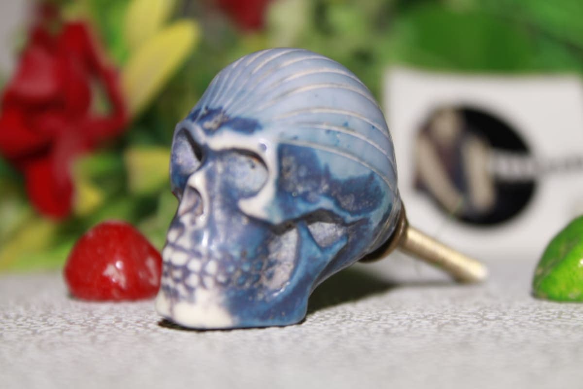 Skull Design Resin Knob