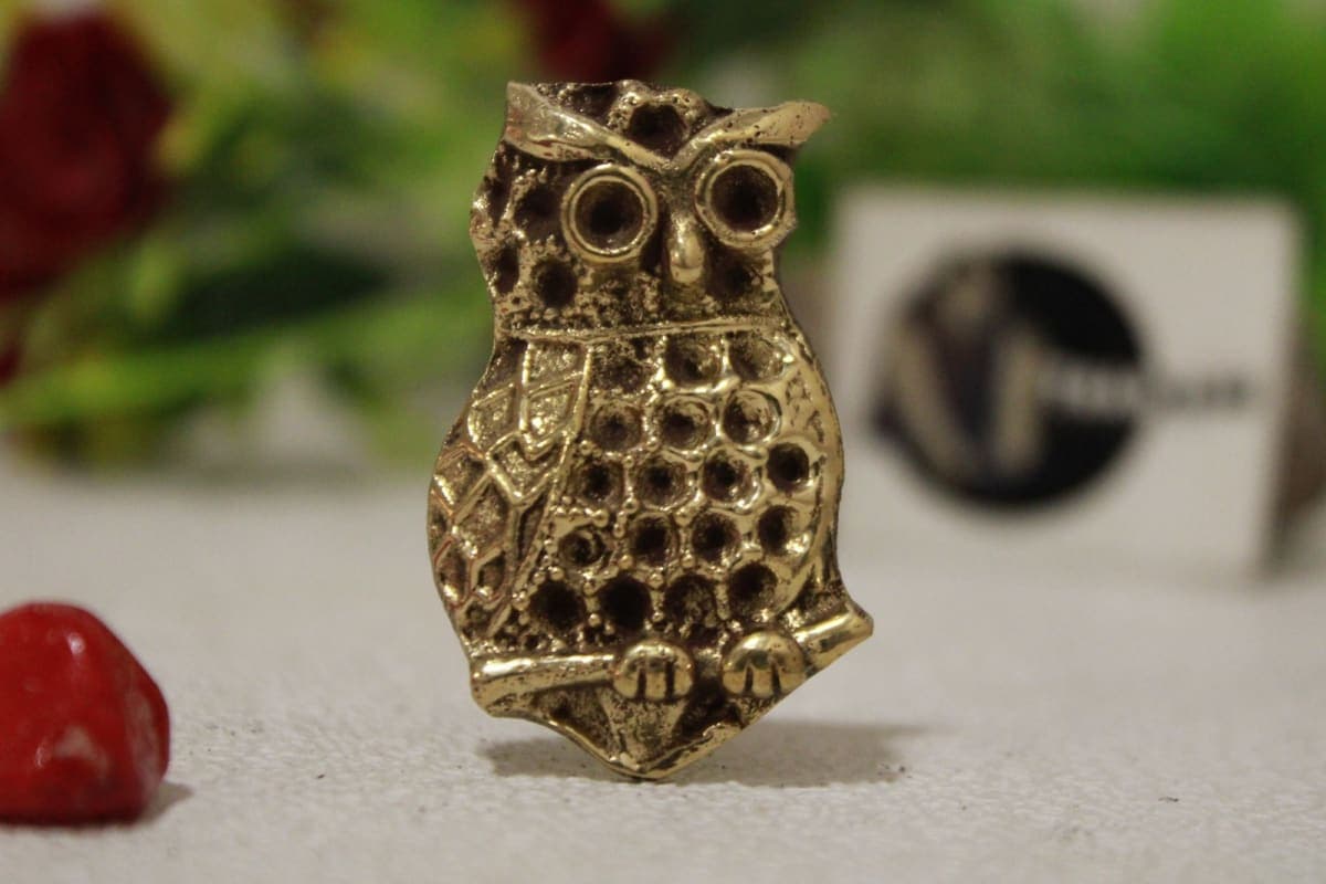 Brass Knob In Big Owl Shape