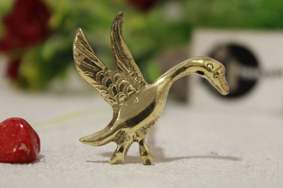 Brass Knob In Dragon Shape
