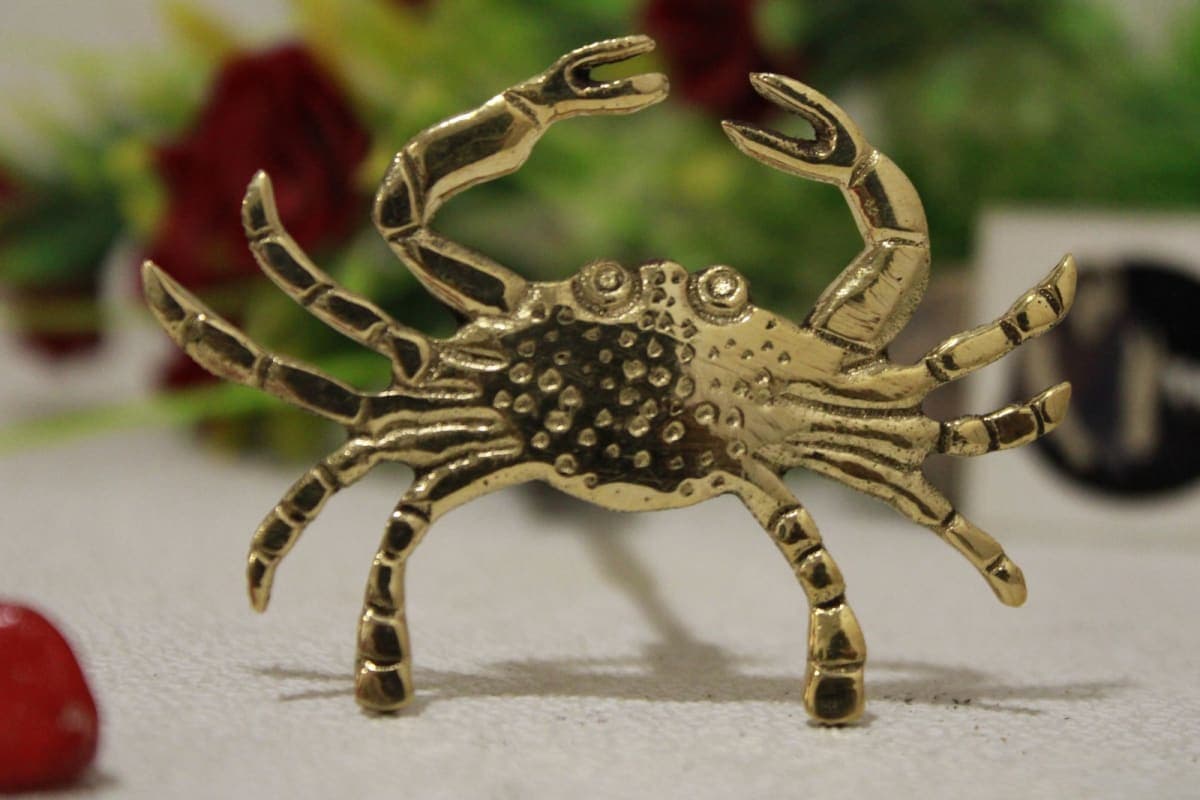 Brass Knob In Big  Crab Shape