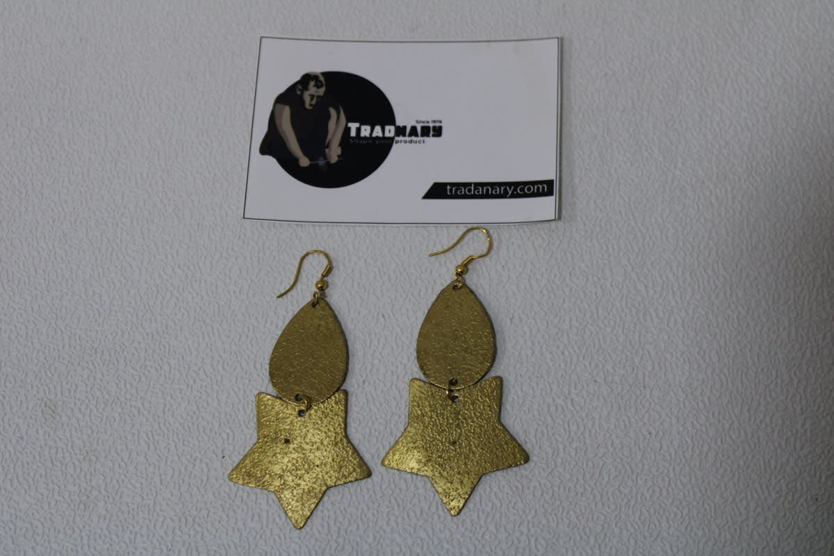 Drop & Star Shape Brass Earrings