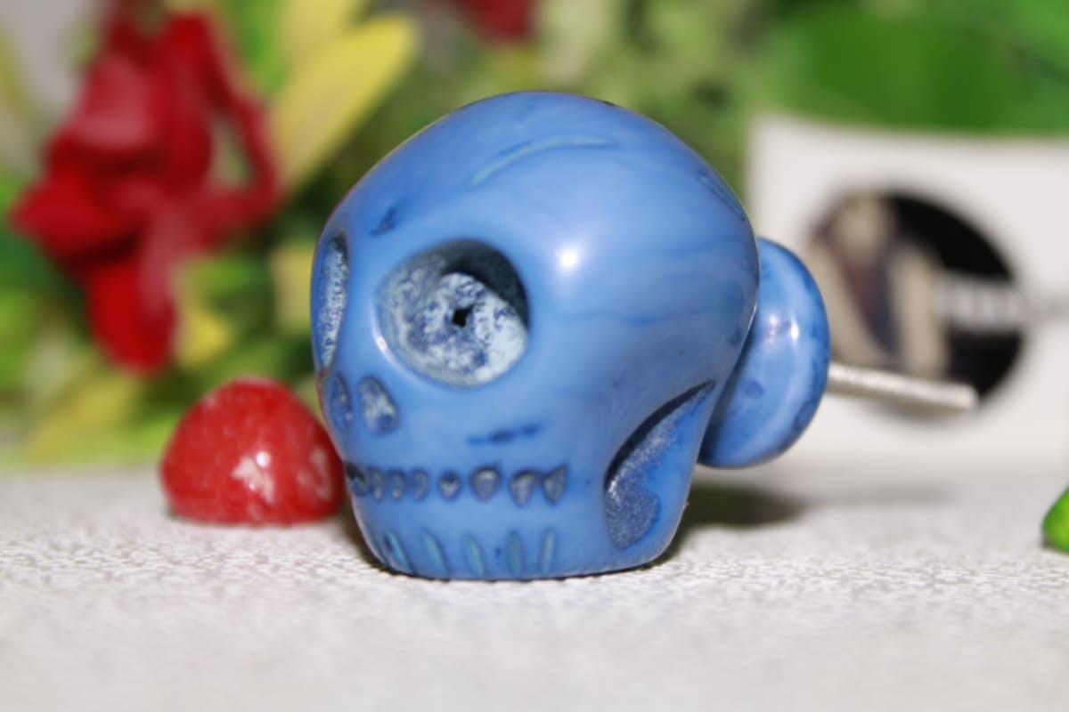 Skull Design Blue Resin Knob 