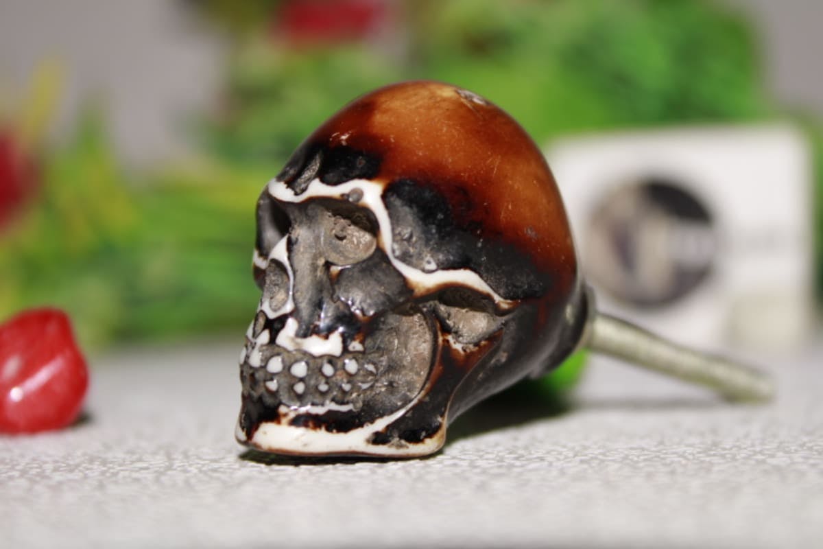 Skull Design Brown Resin Knob