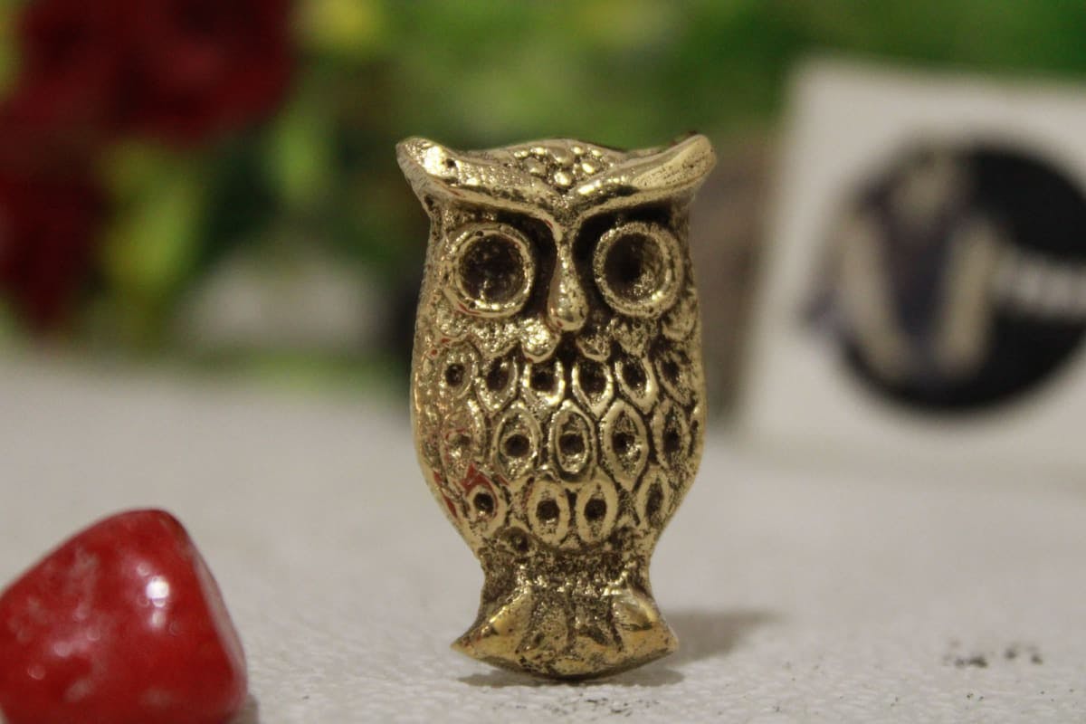 Brass Knob In Owl Shape