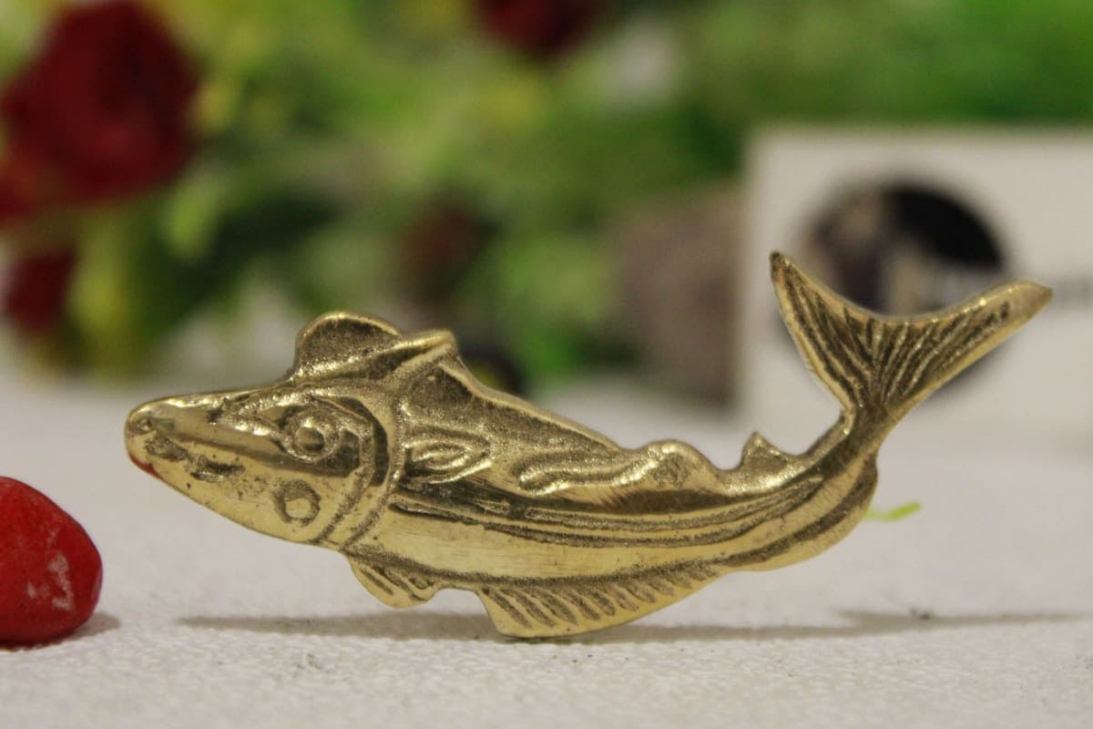 Brass Knob In Fish Shape