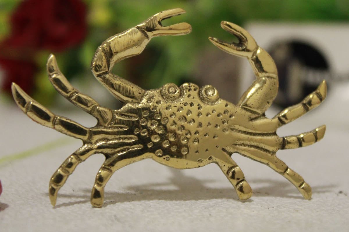 Brass Knob In Crab Shape